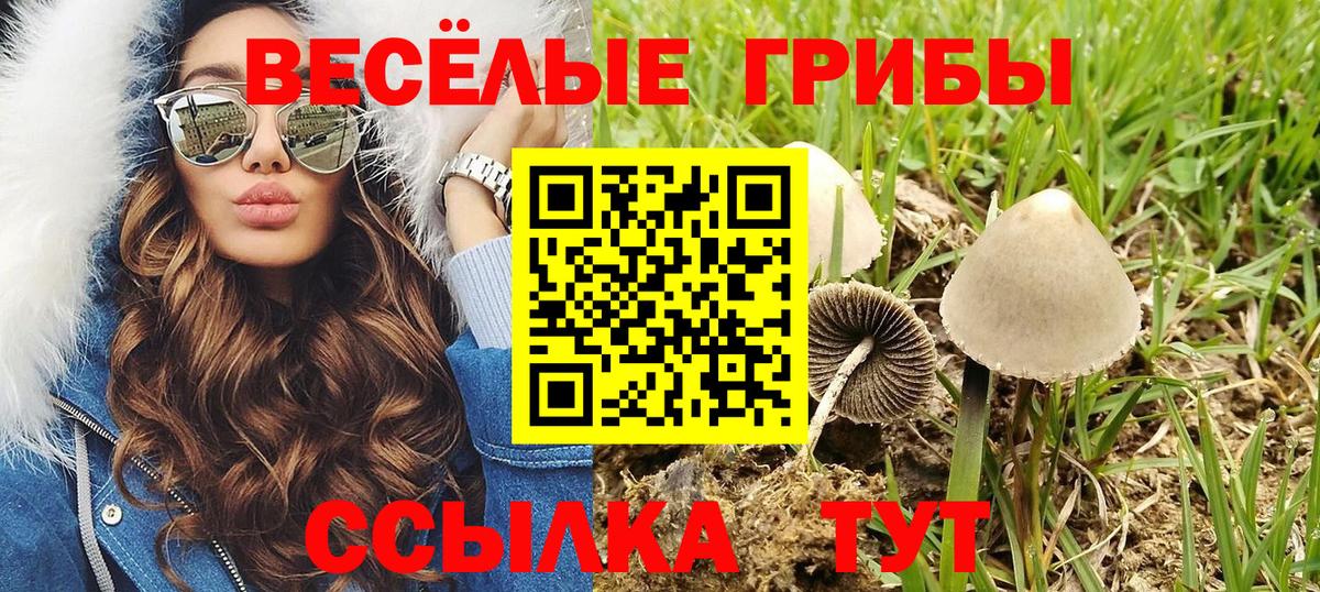 Галлюциногенные грибы мухоморы Луховицы